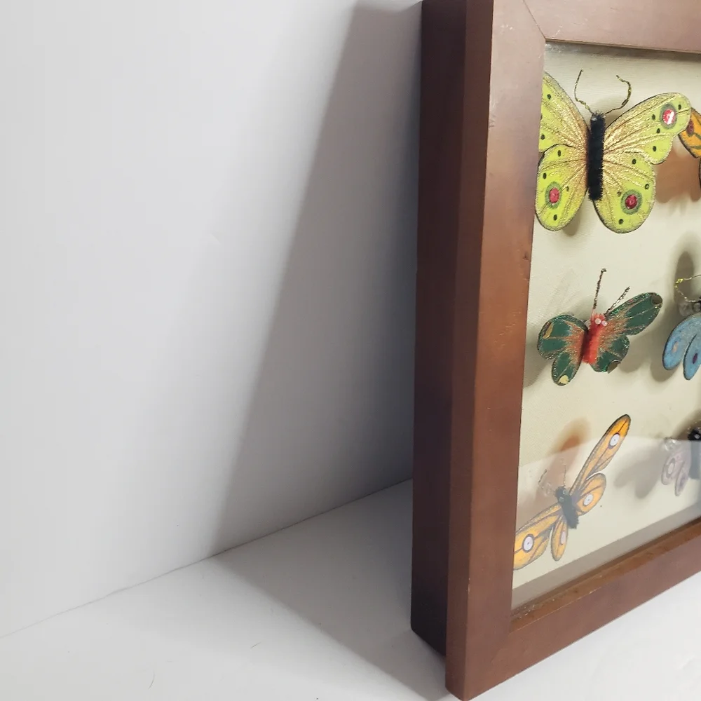 Butterflies arranged in a shadow box. 214